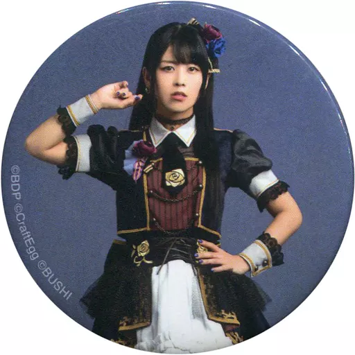 駿河屋 - 【買取】相羽あいな(湊友希那)/膝上・背景：グレー 「Roselia