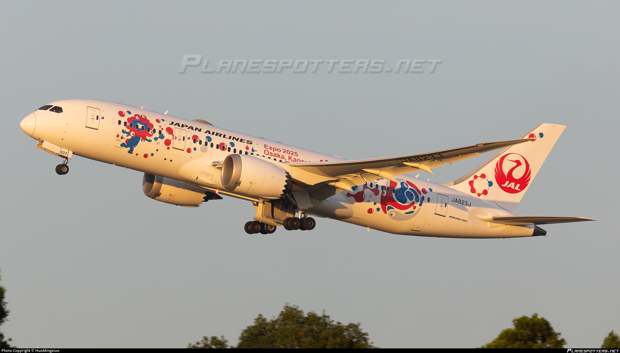 JA823J Japan Airlines Boeing 787-8 Dreamliner Photo by HuoMingxiao