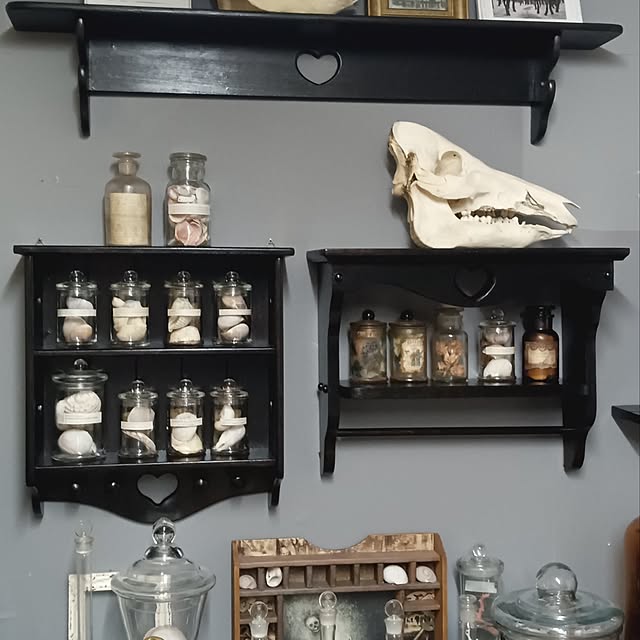 アンティーク 骨格標本のおしゃれなアレンジ・飾り方のインテリア実例