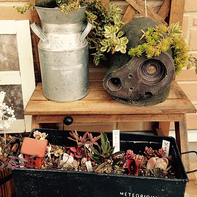 巨神兵プランター☆のおすすめ商品とおしゃれな実例 ｜ RoomClip