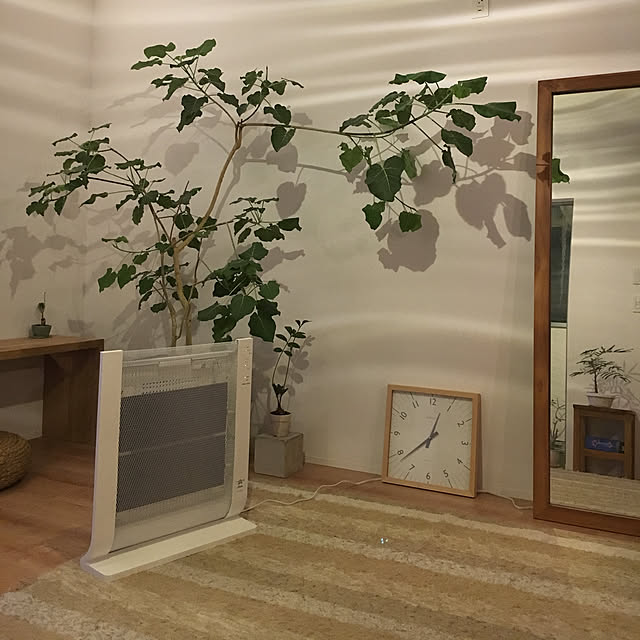 日本エー・アイ・シー パネルヒーター 遠赤外線 アラジン Aladdin