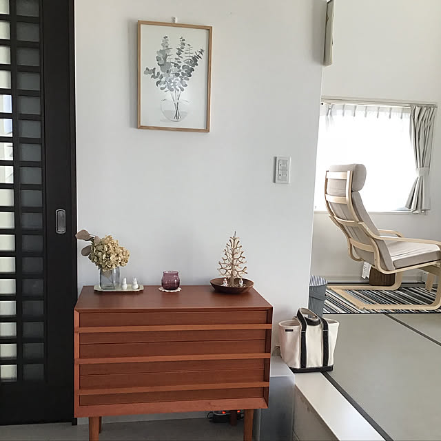 コートカルテレット ポスター ユーカリA3【正規代理店品】【ポスター