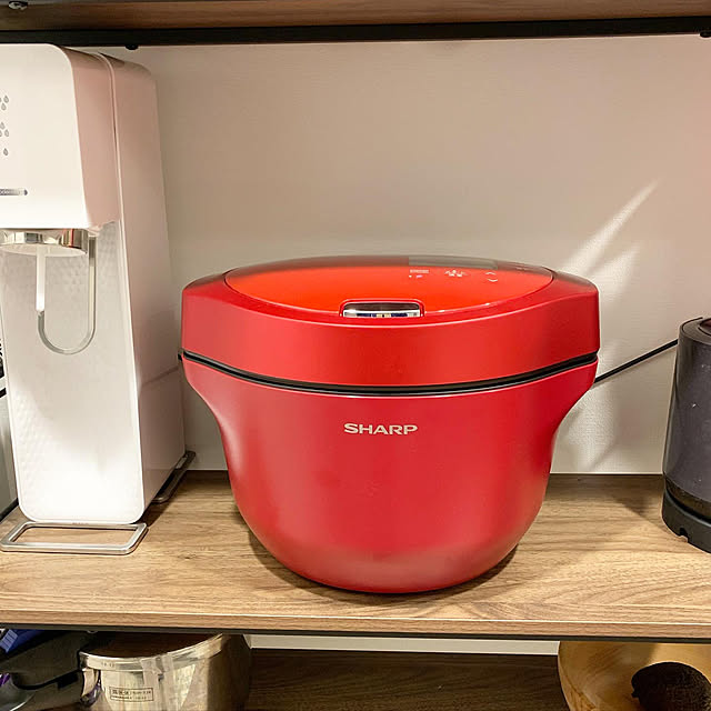 KN-HW24G (-W) (-R) シャープ ホットクック ヘルシオ 電気調理器