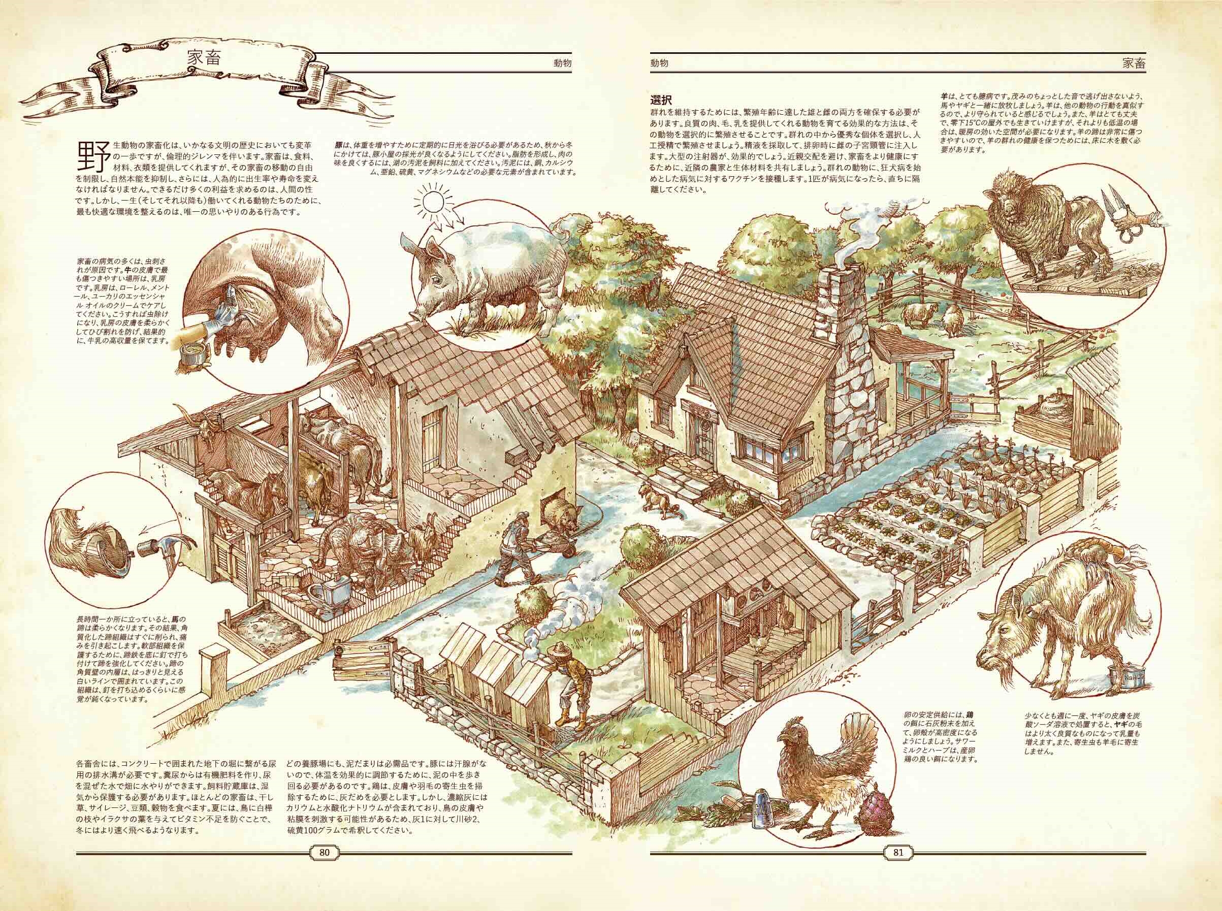 dショッピング |Hungry Minds 「THE BOOK 究極の文明再構築ガイド