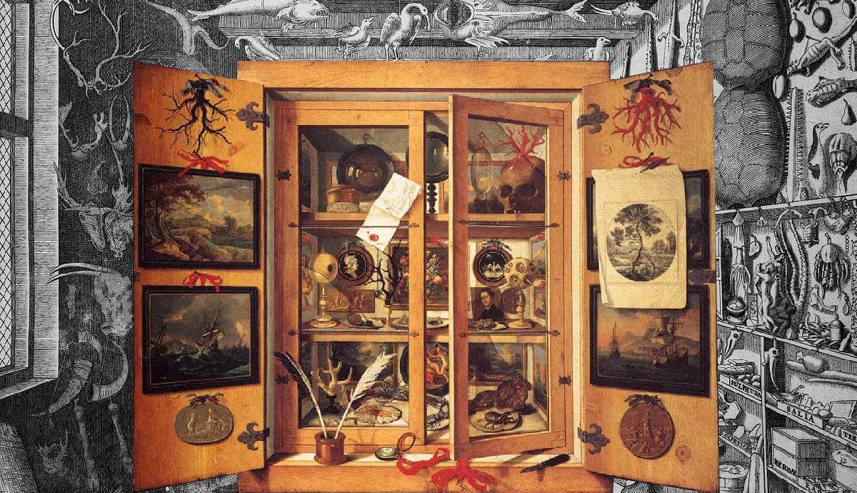 The Pre-Modern Museum: What Is A Cabinet Of Curiosities