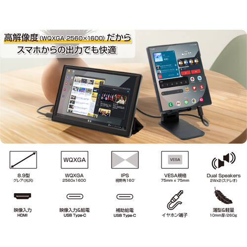 ITPROTECH アイティプロテック LCD8HC-IPS 8.9インチ モバイルモニター