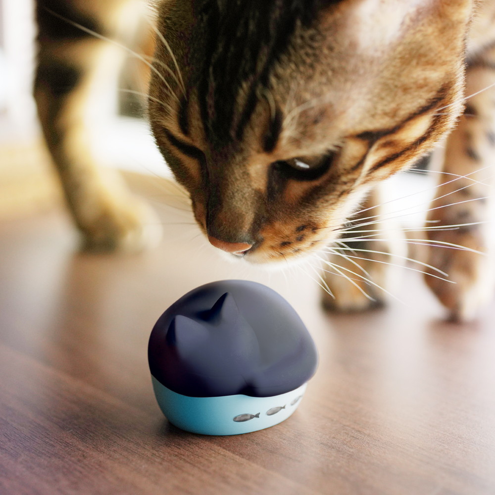 Radius NEKO HP-C28BTK (クロ) 猫のかたちの完全ワイヤレスイヤホン