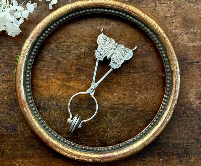 送料無料】台湾 50493- 非常に希少で美しい19世紀ビクトリア朝の蝶の