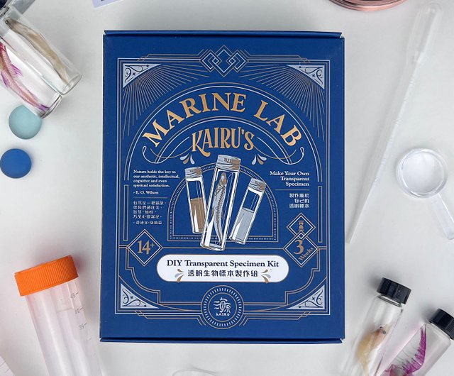 台湾 DIY手作り透明標本作製セット ギフトボックス カイルマリンラボ