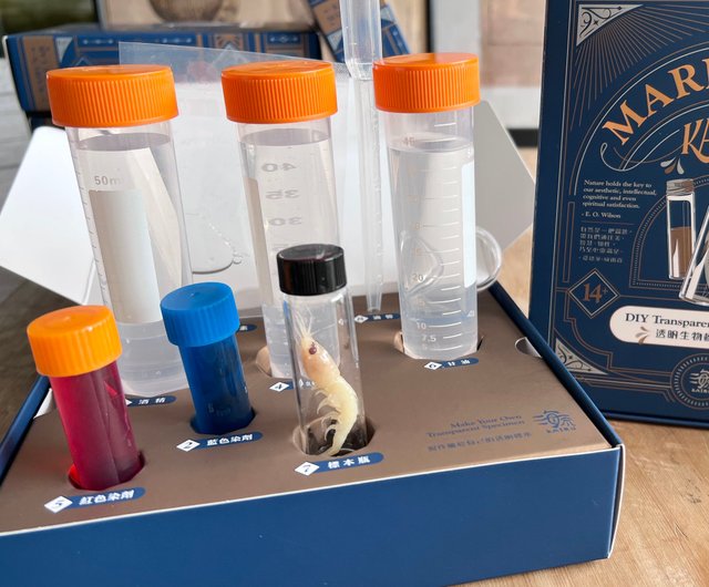 台湾 DIY手作り透明標本作製セット ギフトボックス カイルマリンラボ