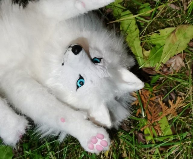 アゼルバイジャン オーダーメイドのキツネのアートドール動物のポーズ