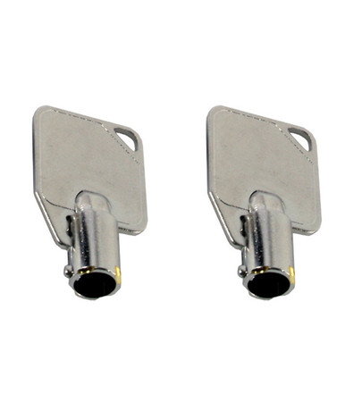 Wayne 887693-005 Printer Door Key - Global Fueling Systems