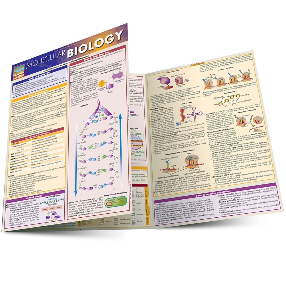 QuickStudy Molecular Biology Laminated Study Guide (9781423218739)