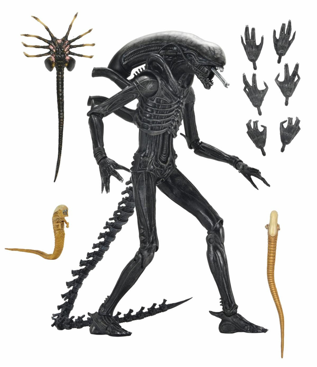 NECA Alien: Romulus Ultimate Xenomorph XX121 7-Inch Scale Action