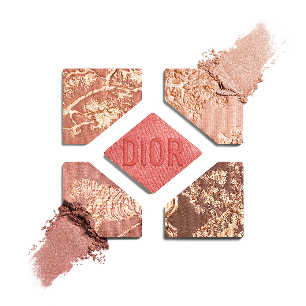 DIOR Diorshow 5 Couleurs Eyeshadow ~ 654 Coral Riviera ~ 2025