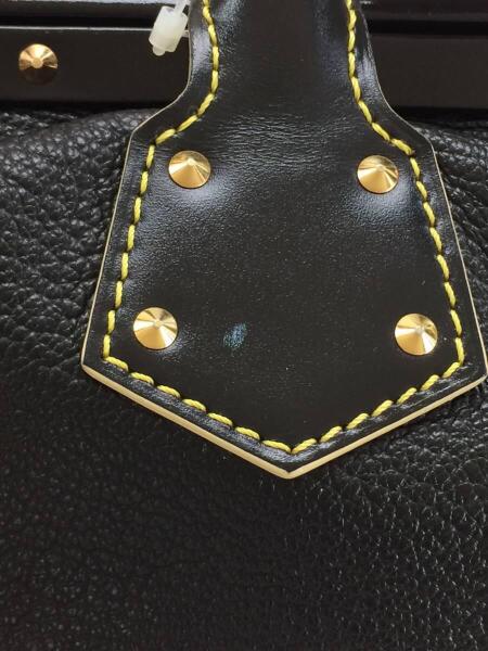 LOUIS VUITTON(ルイヴィトン) / アンジェニューPM/スハリ/ハンドバッグ