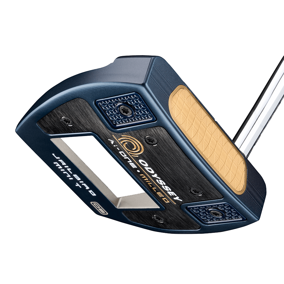 Ai-ONE MILLED JAILBIRD MINI T VERSA90 DBパター