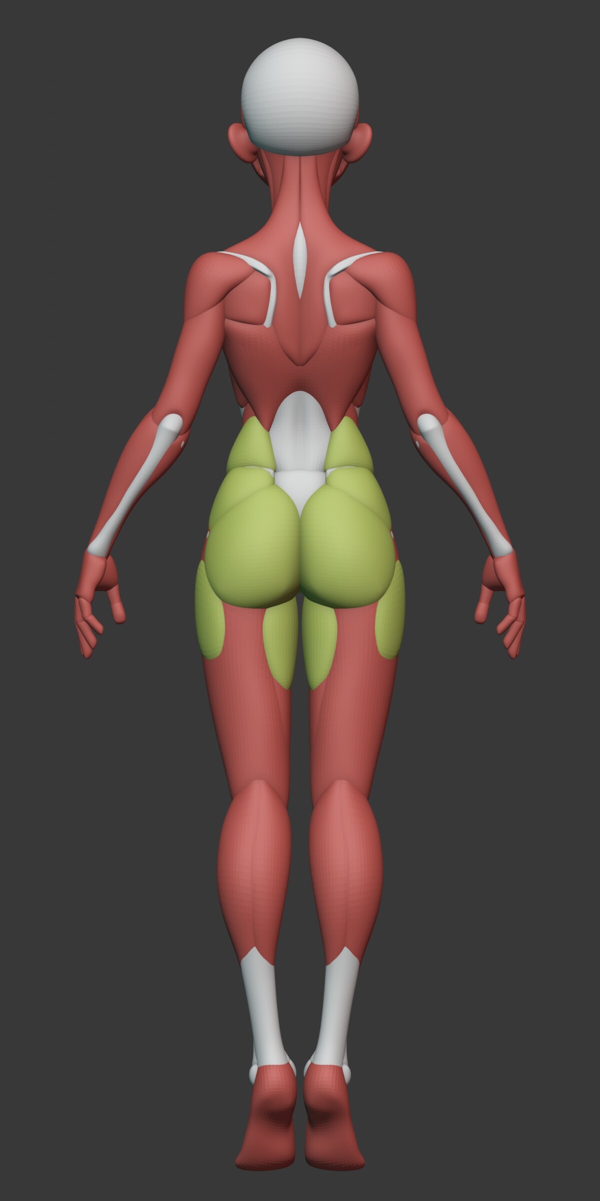 George Zaky - Stylized Female Anatomy