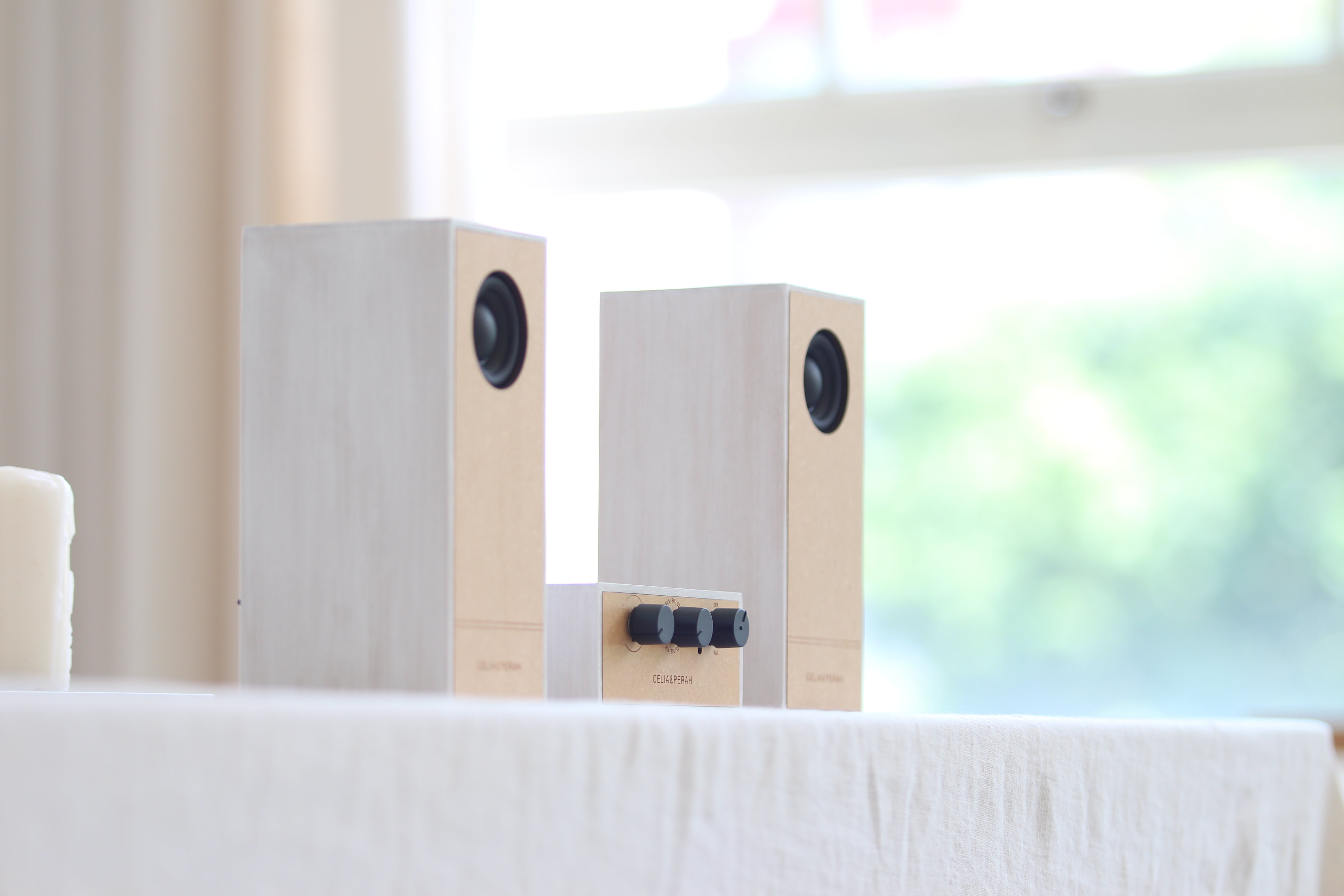 R4 DIY Bluetooth Radio ( Separate ) – CELIA & PERAH