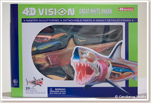 立体パズル 4D VISION 動物解剖 No.02 ホホジロ鮫解剖モデル