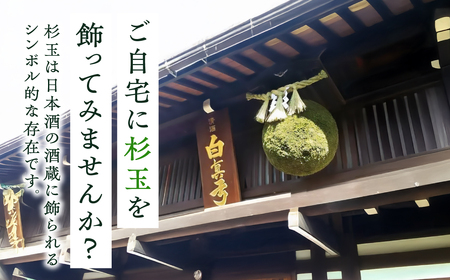 日本酒ライフに彩りを！杉玉直径30cm。自宅やお店のインテリアに。【67