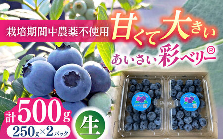 6月より順次発送】 ブルーベリー 250g×2 「あいさい彩ベリー」[AEBZ002