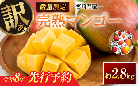 訳あり 宮崎県産 完熟マンゴー 約2.8kg 期間限定 数量限定 フルーツ