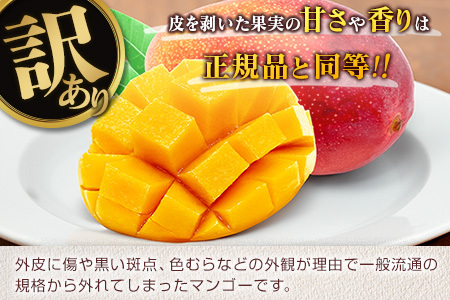 訳あり 宮崎県産 完熟マンゴー 約2.8kg 期間限定 数量限定 フルーツ