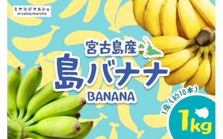 宮古島産バナナ1kg【（株）フラモン】（JH007） | 沖縄県宮古島市