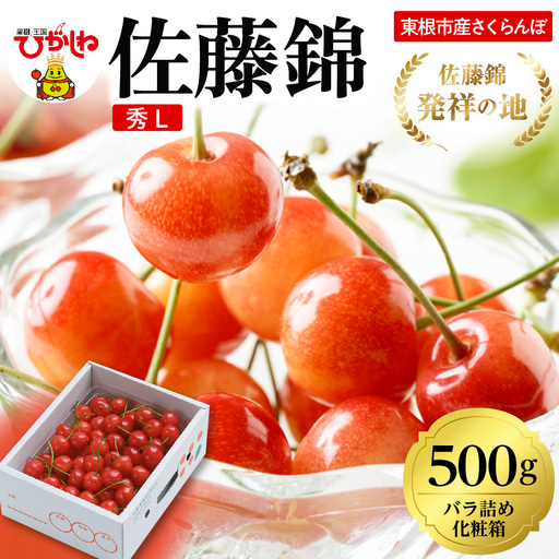 2026年 東根産さくらんぼ「佐藤錦」500gバラ詰め 秀品 Lサイズ 東根