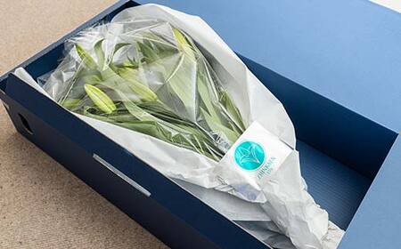 ユリ専門＜深花園＞観賞用ゆり オリエンタルリリー 訳あり優品ゆり