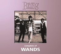 complete of WANDS at the BEING studio／WANDS｜音楽ダウンロード