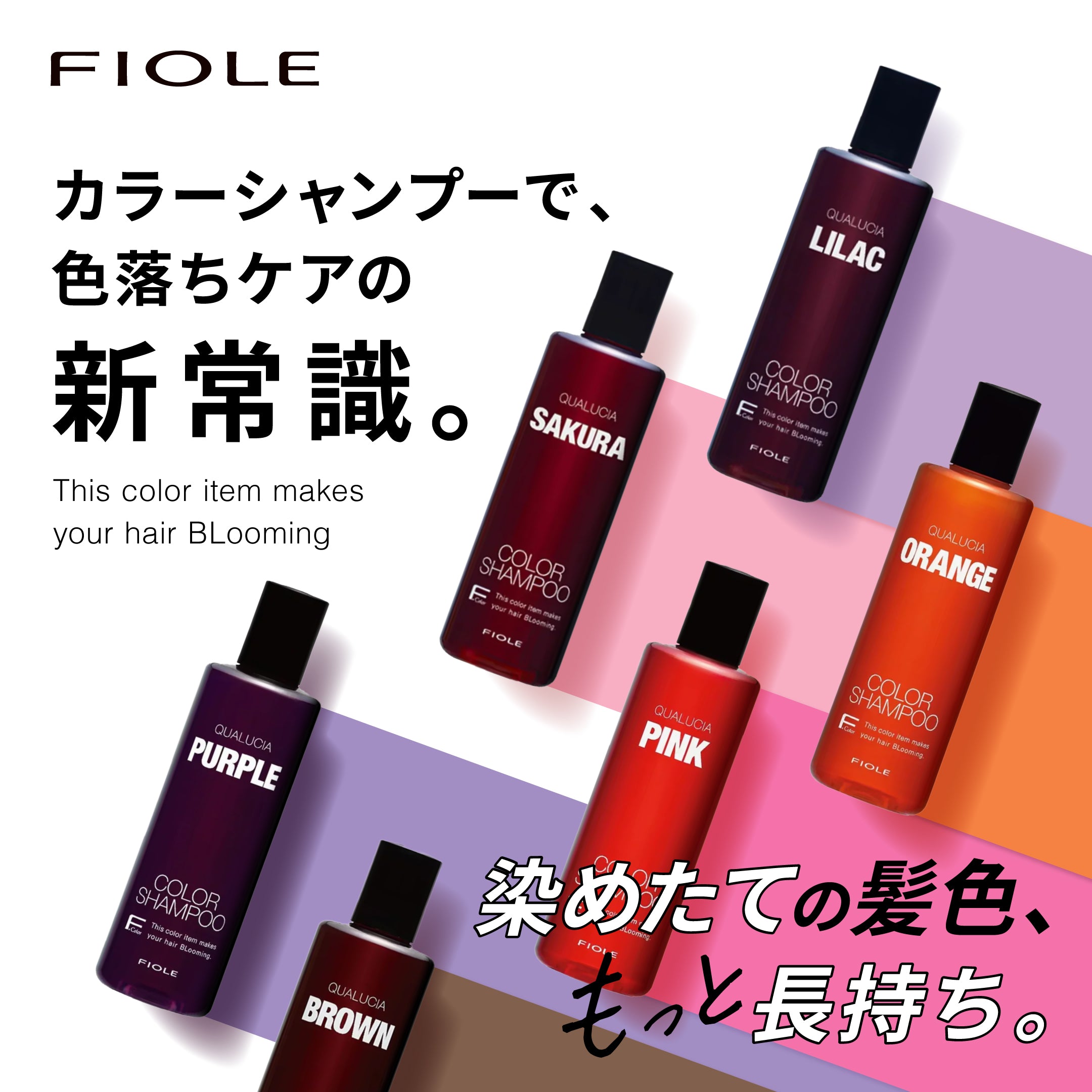 フィヨーレ クオルシア カラーシャンプー 1000ml｜FIOLE – CHOUCHOU