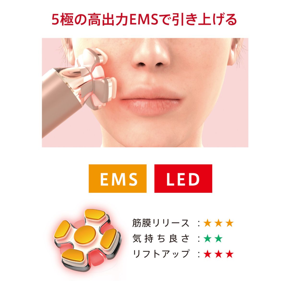 ゾーガンキン ブルーム CL-OK-ZKBM｜ZOGANKIN – CHOUCHOU シュシュ