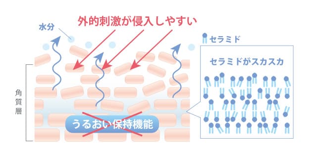 Caring | シャンソン化粧品