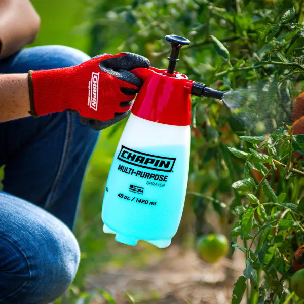 Chapin 1002 48 Ounce Handheld Pump Sprayer - Chapin International