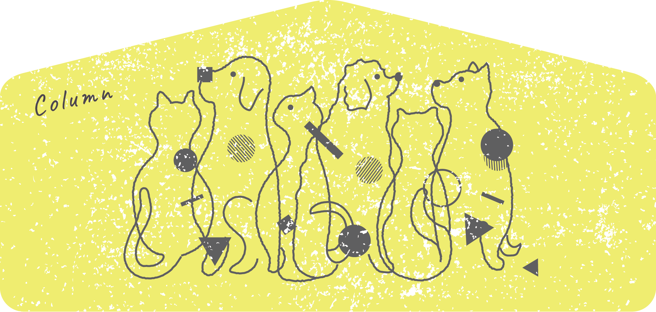 ペットアナライザー 導入しました！｜ちゃこーるぐれい 〜ペットのため