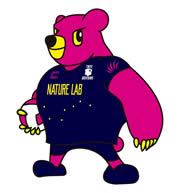 グレベアくん-東京グレートベアーズのマスコットキャラクター