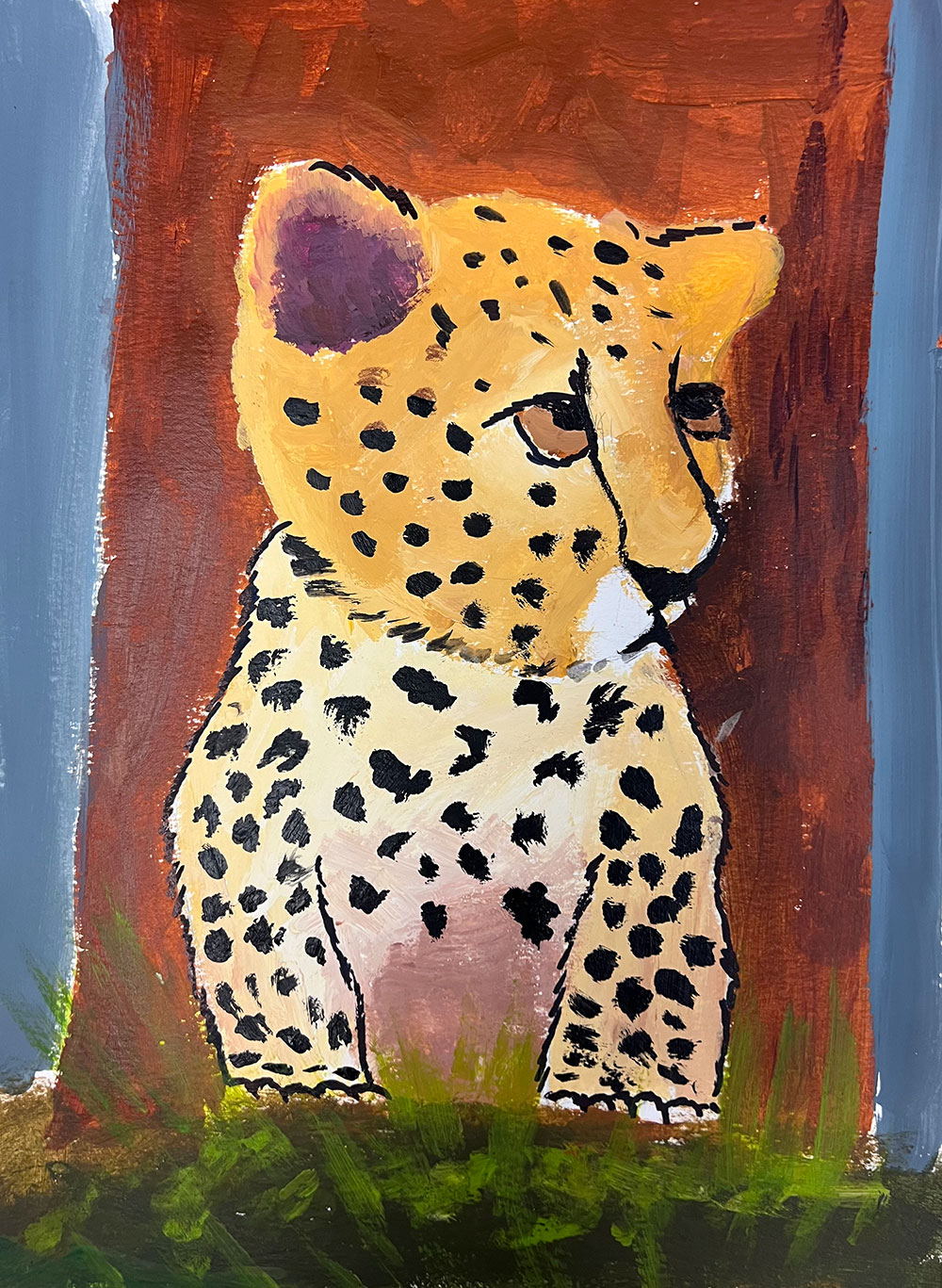 CCFキッズがチーター保護活動に参加 • チーター保護基金