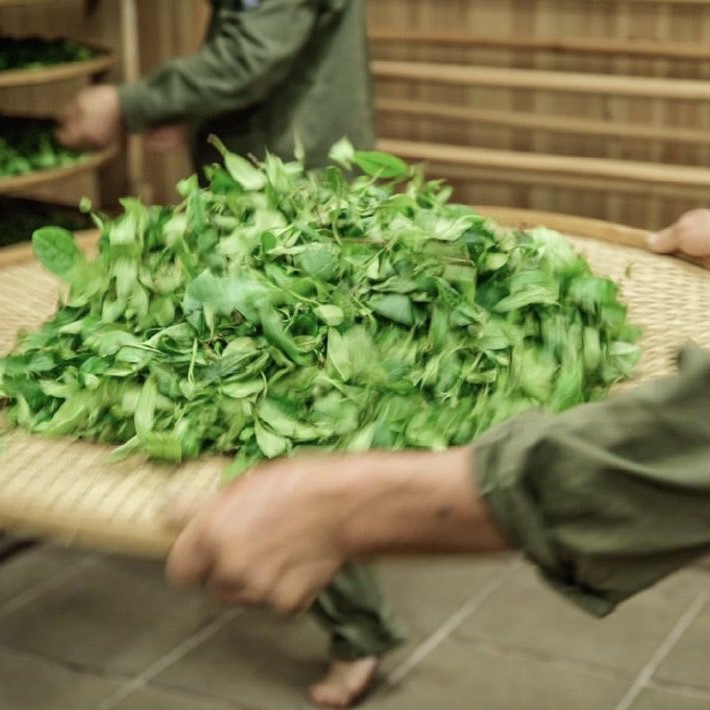 手作り】長窠肉桂ちょうかにっけい – 辰翼茶荘