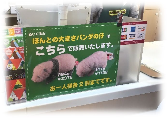 上野動物園 シャンシャンのぬいぐるみ「ほんとの大きさパンダの仔