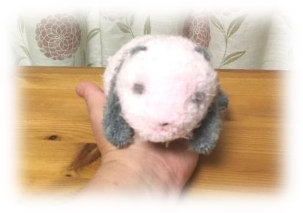 上野動物園 シャンシャンのぬいぐるみ「ほんとの大きさパンダの仔