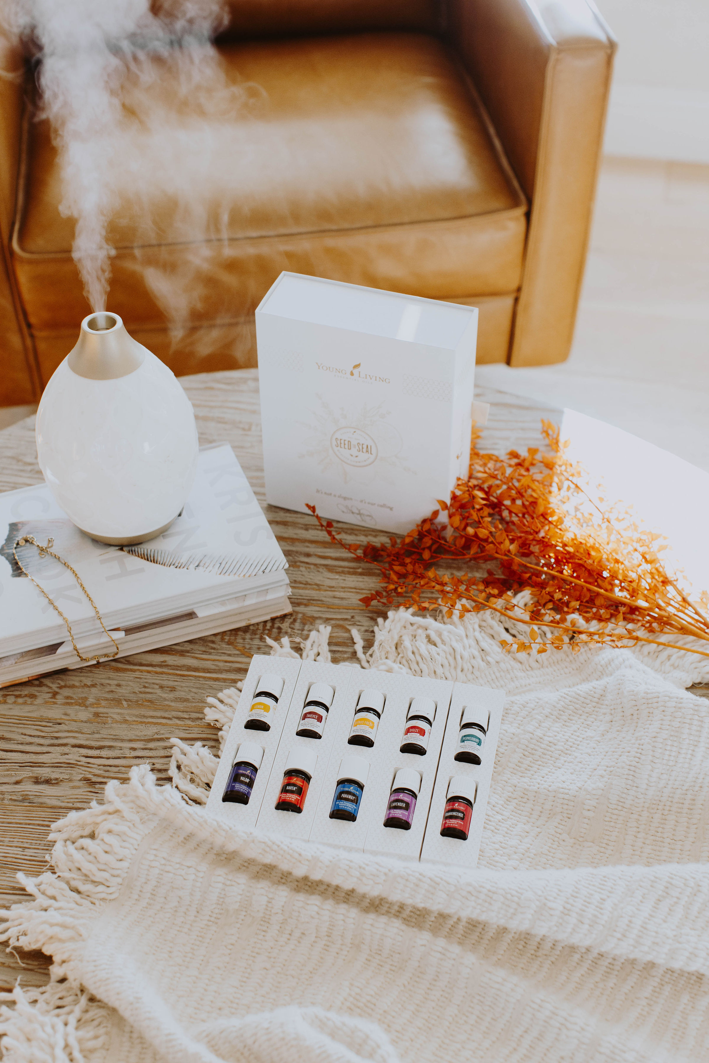 Grab Your Oils Bundle - Christine Covino