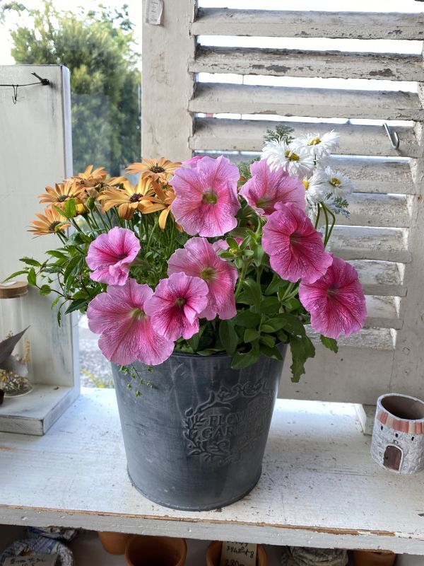 サークルブリキポットMの寄せ植え - Le Ciel（ル・シエル）