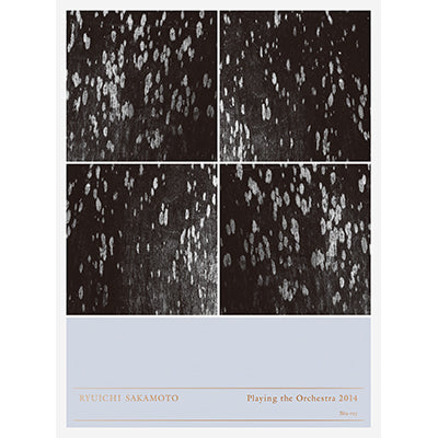 Ryuichi Sakamoto | Playing the Orchestra 2014（Blu-ray