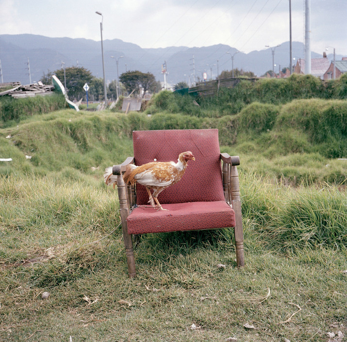 Dog Days, Bogotá • Alec Soth • Magnum Photos