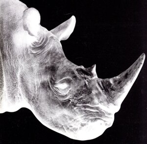 Mr.Children 1992-1995 中古CD | ブックオフ公式オンラインストア