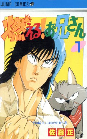 コミック全巻セット・まとめ買い】燃える！お兄さん(全19巻)セット