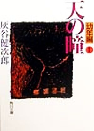 書籍全巻セット・まとめ買い】天の瞳(文庫版)セット | ブックオフ公式