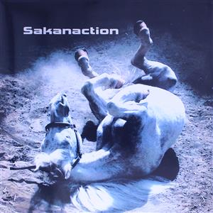 多分、風。(完全生産限定盤)(CD+DVD) 中古CD | ブックオフ公式